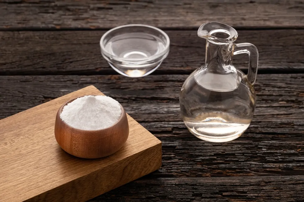 Vinegar and Water Mixture